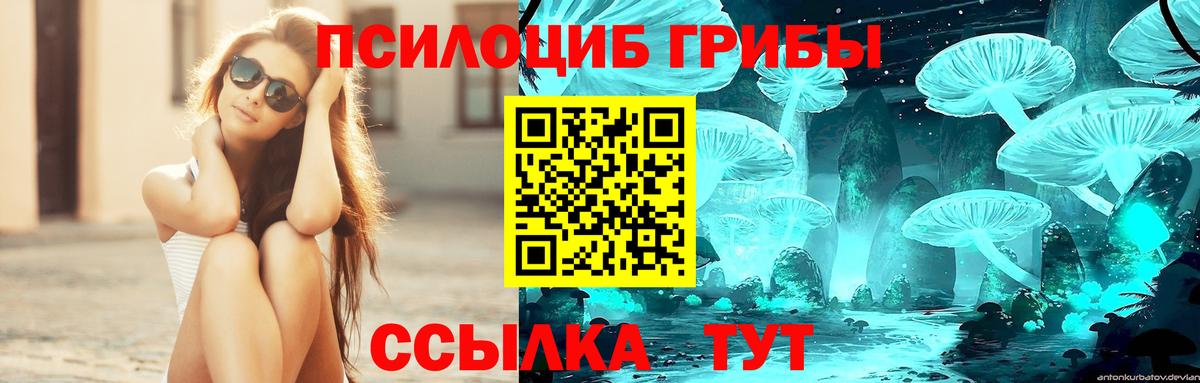 Псилоцибиновые грибы ЛСД  Вход с VPN  Петрозаводск 