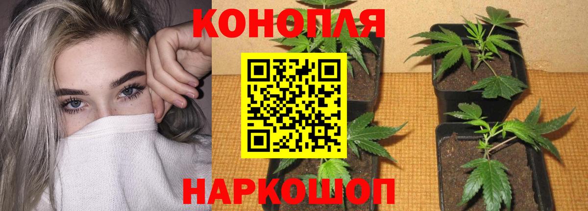 Петрозаводск  Бошки Шишки планчик  Вход с VPN  Бошки марихуана MAZAR  Бошки марихуана ГИДРОПОН 